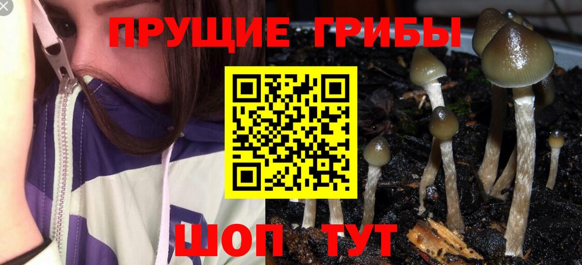 Псилоцибиновые грибы Psilocybine cubensis Нижневартовск
